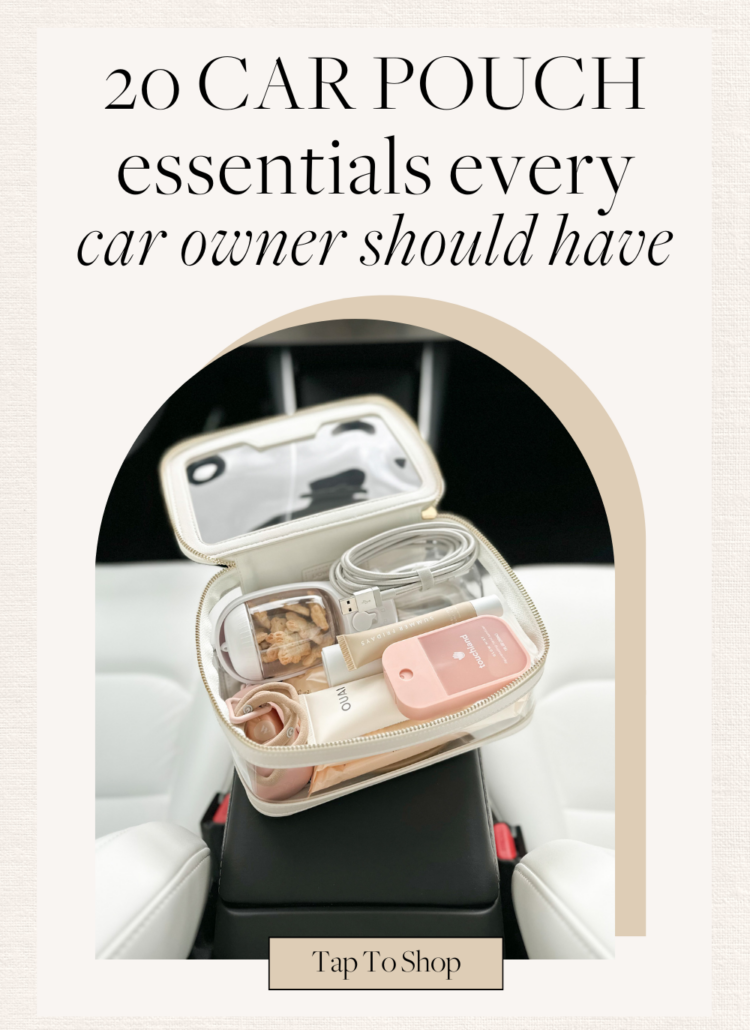 car pouch essentials