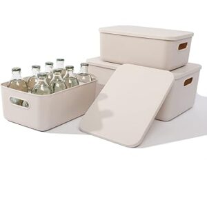 kitchen cabinet organizing ideas